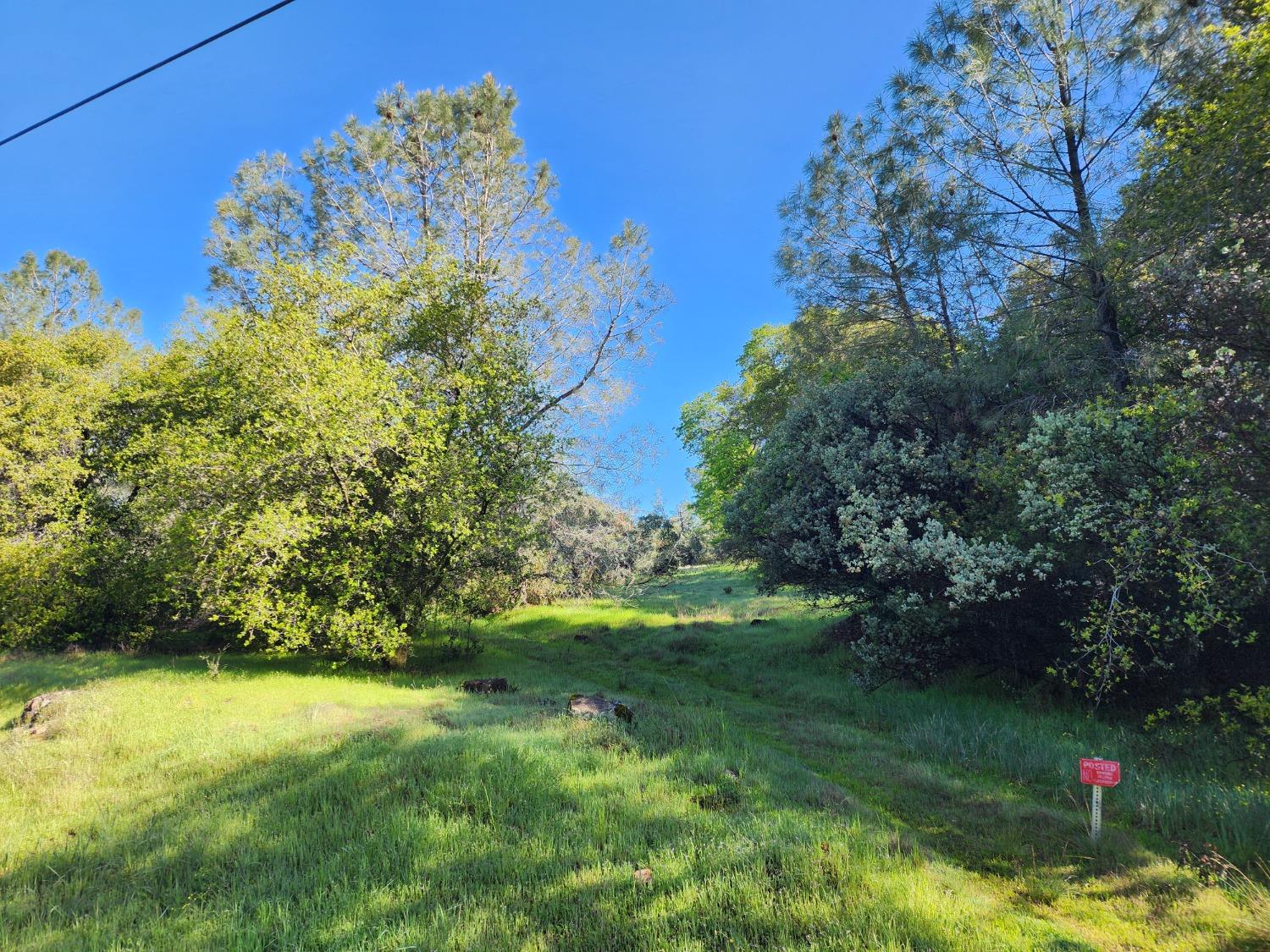 19994 John Born Road Penn Valley, CA 95946 - Photo 38 of 56