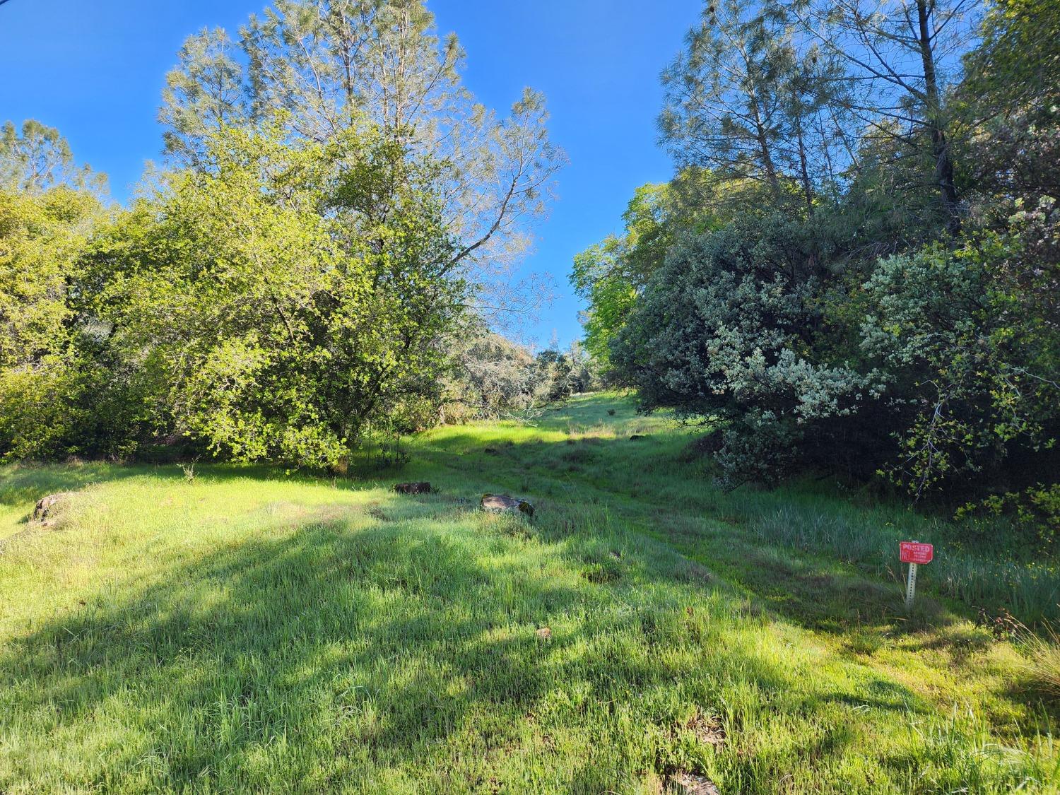 19994 John Born Road Penn Valley, CA 95946 - Photo 39 of 56