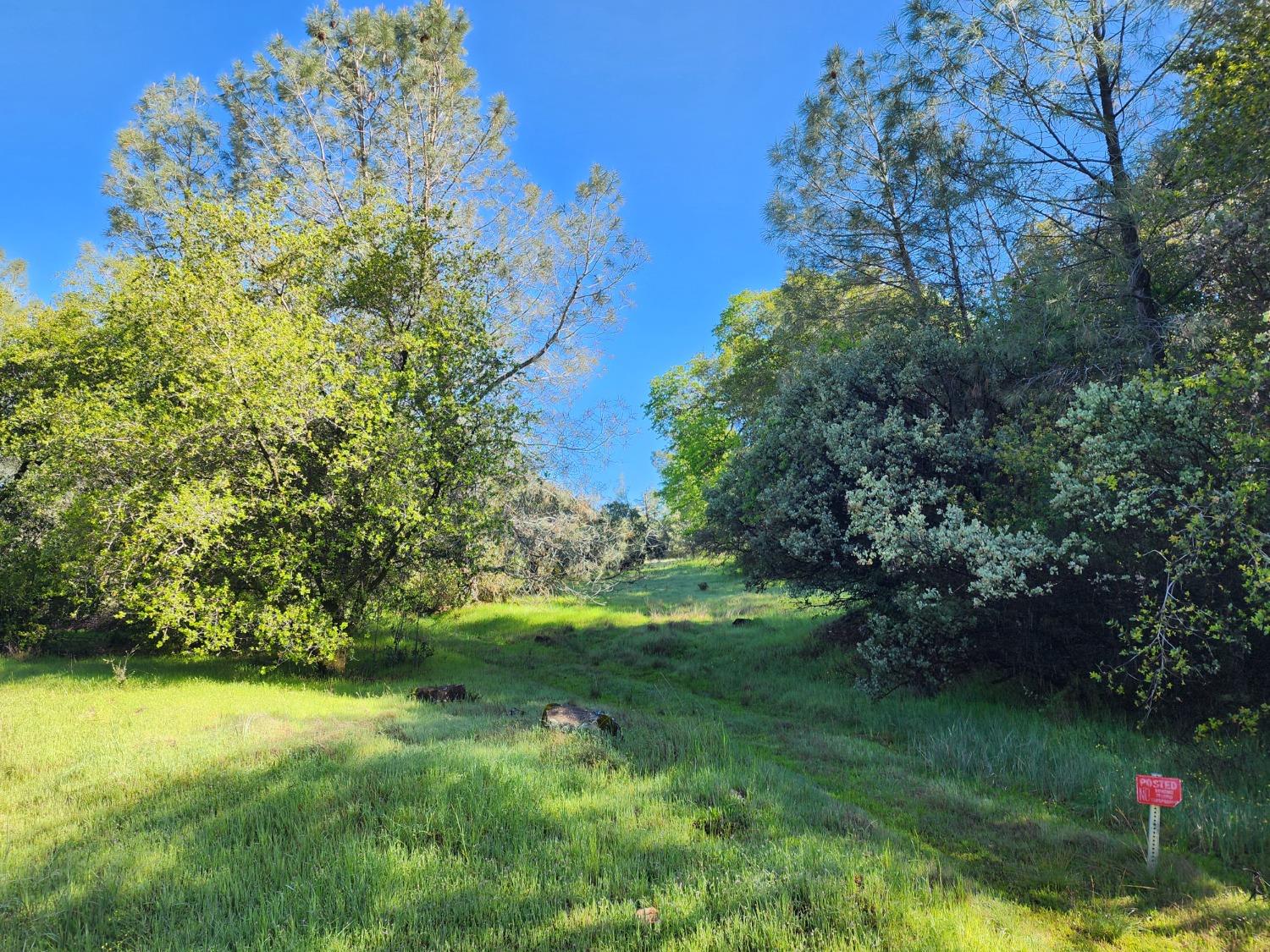 19994 John Born Road Penn Valley, CA 95946 - Photo 40 of 56