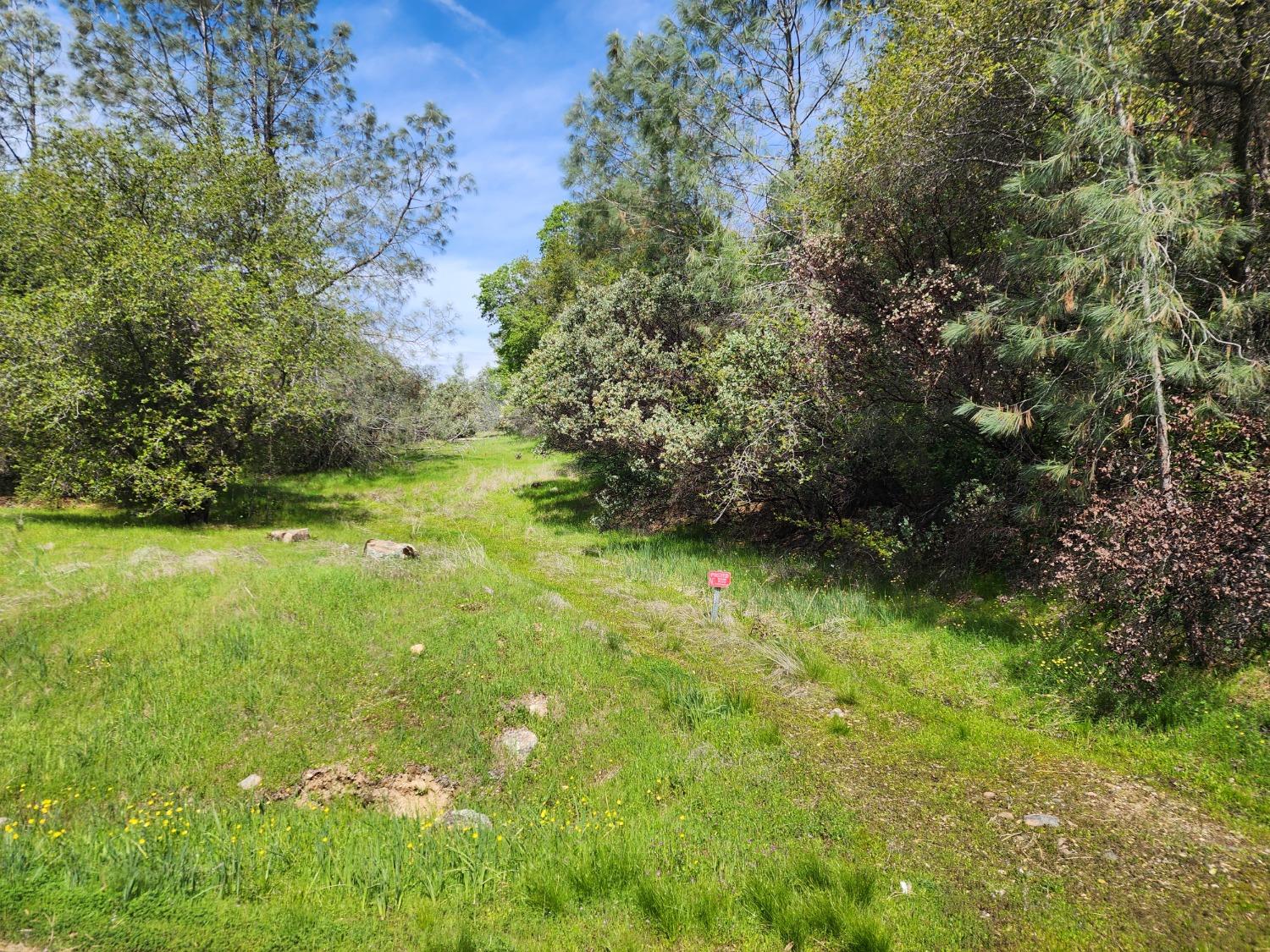 19994 John Born Road Penn Valley, CA 95946 - Photo 43 of 56