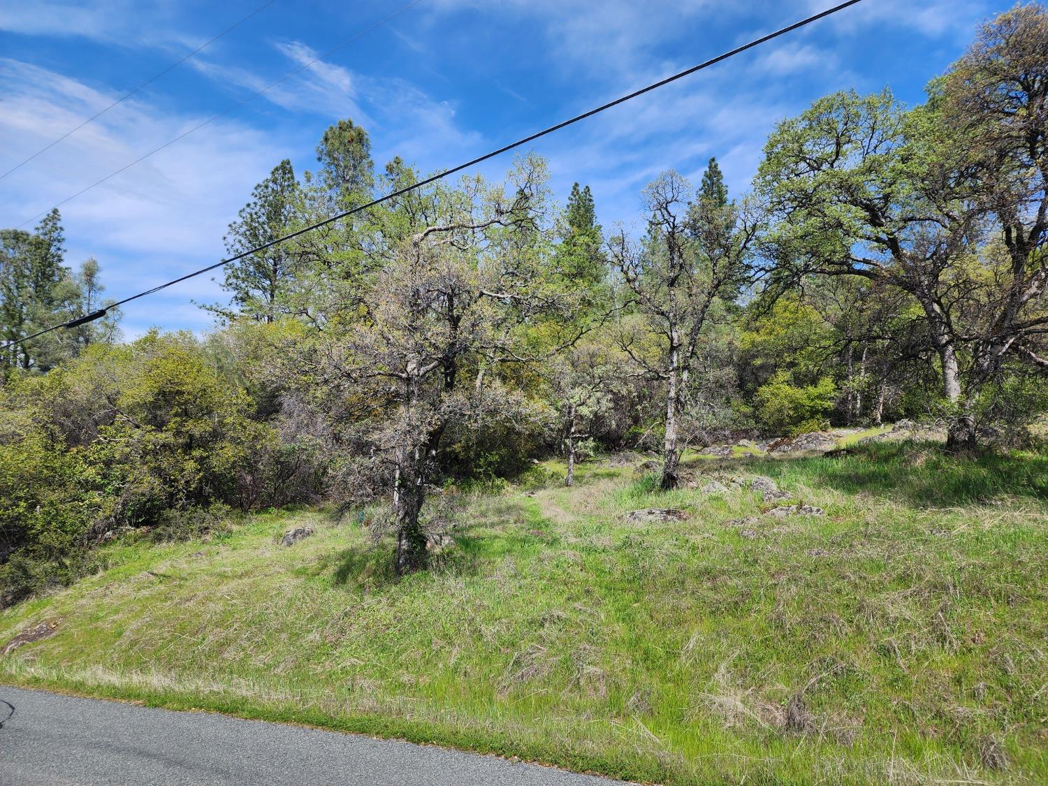 19994 John Born Road Penn Valley, CA 95946 - Photo 44 of 56