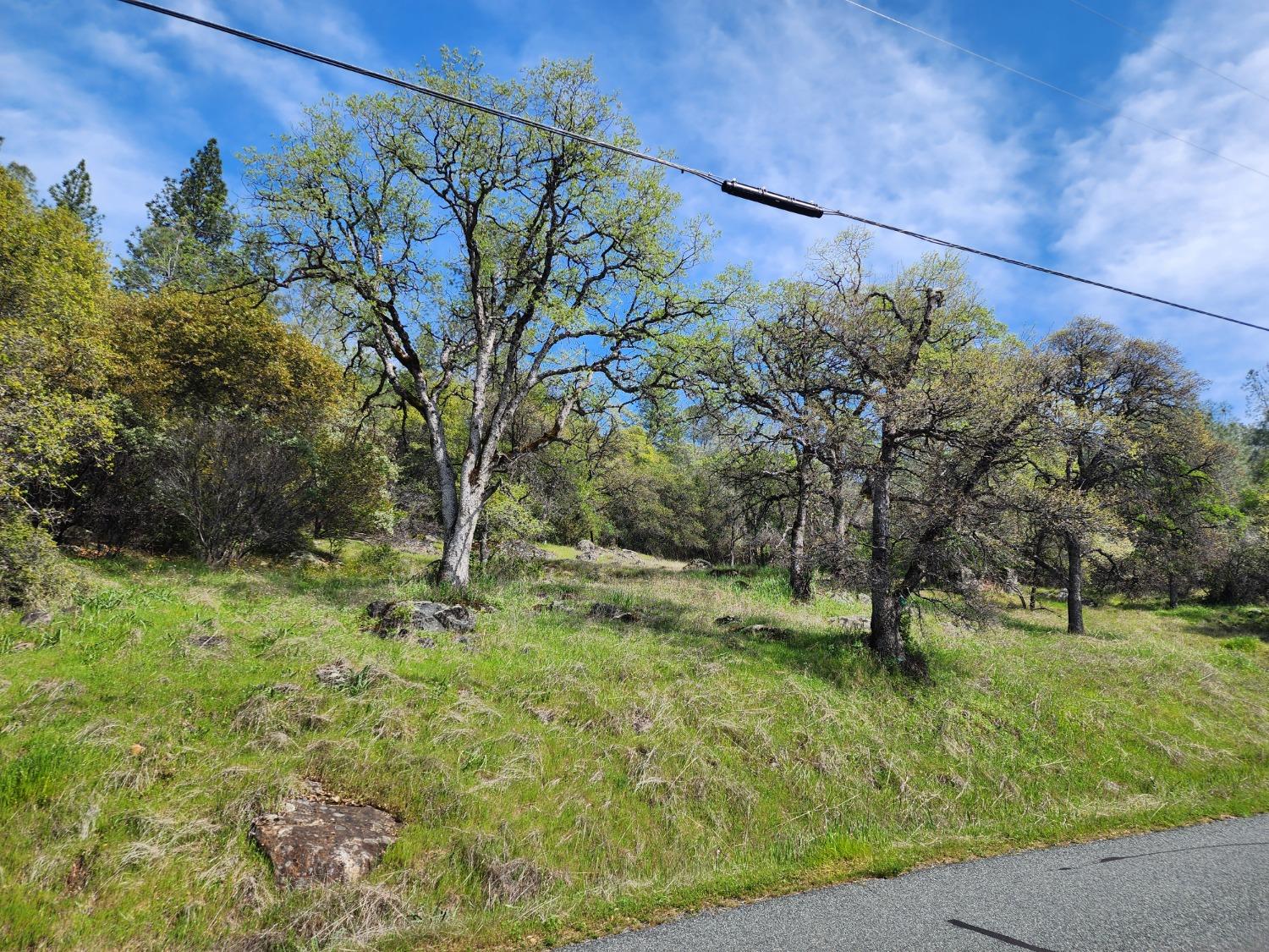 19994 John Born Road Penn Valley, CA 95946 - Photo 46 of 56