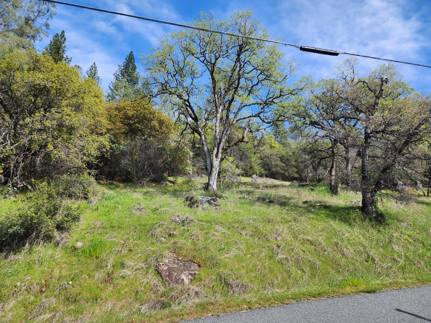 19994 John Born Road Penn Valley, CA 95946 - Photo 47 of 56