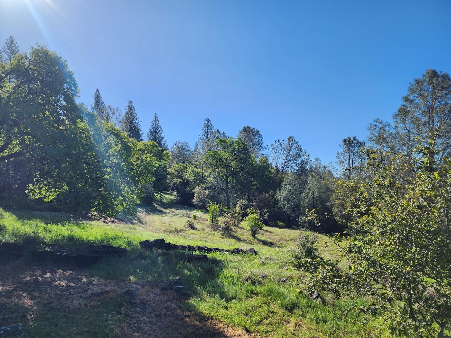 19994 John Born Road Penn Valley, CA 95946 - Photo 50 of 56