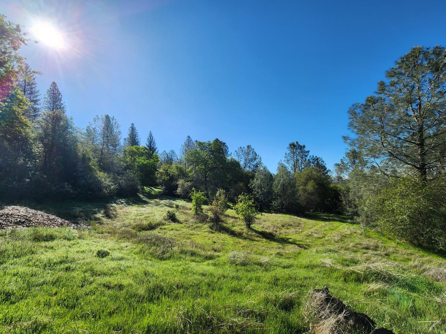 19994 John Born Road Penn Valley, CA 95946 - Photo 54 of 56