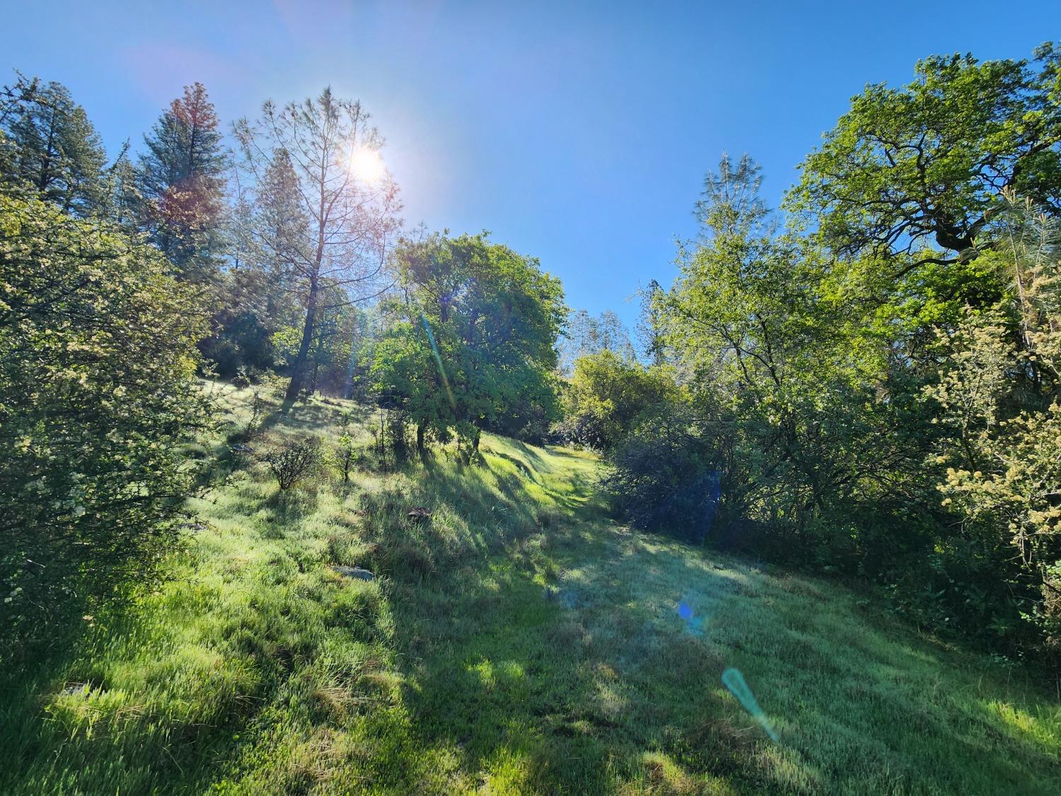 19994 John Born Road Penn Valley, CA 95946 - Photo 56 of 56