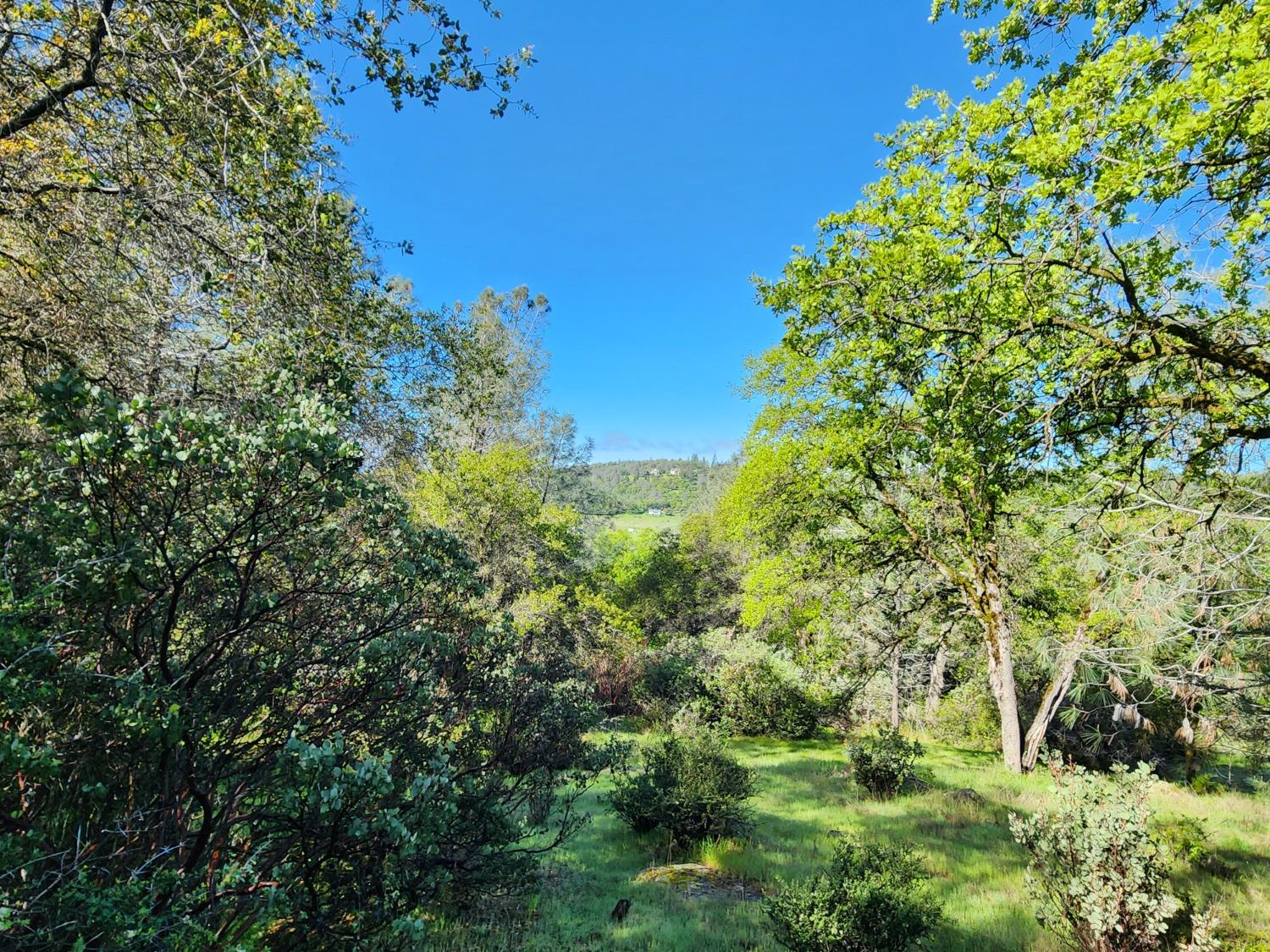 19994 John Born Road Penn Valley, CA 95946 - Photo 6 of 56