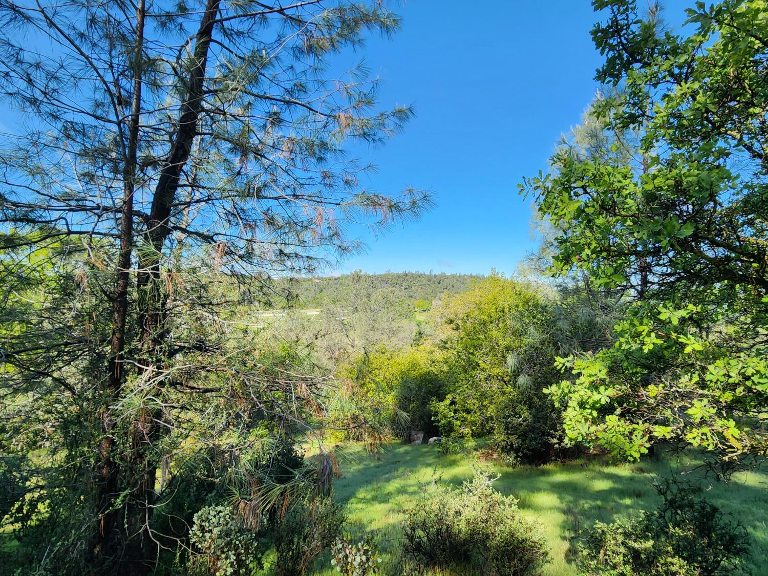 19994 John Born Road Penn Valley, CA 95946 - Photo 7 of 56