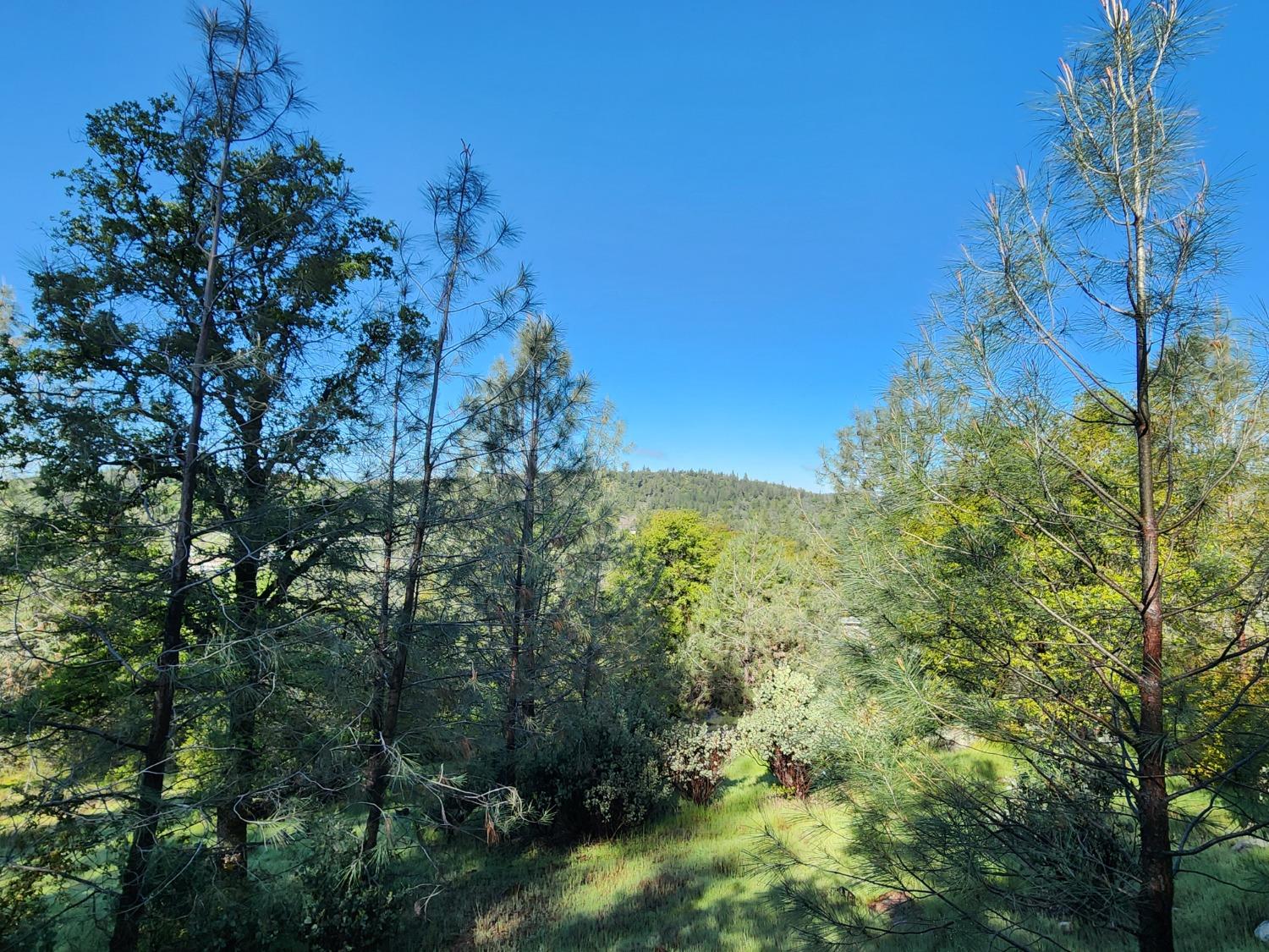 19994 John Born Road Penn Valley, CA 95946 - Photo 8 of 56