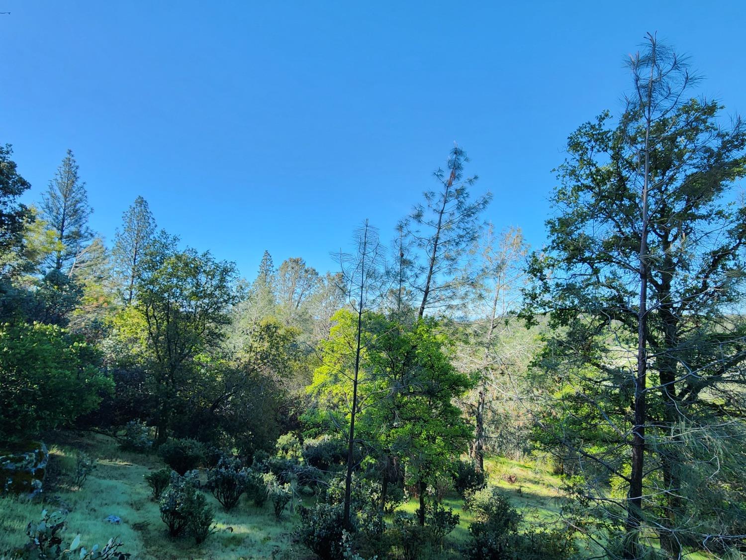 19994 John Born Road Penn Valley, CA 95946 - Photo 9 of 56