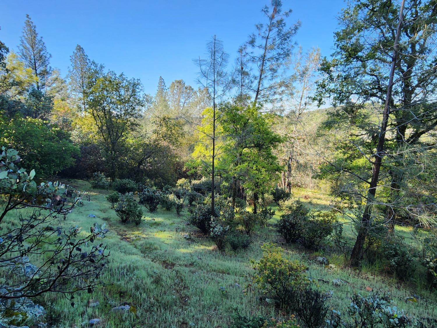 19994 John Born Road Penn Valley, CA 95946 - Photo 10 of 56