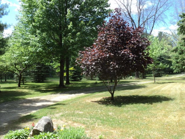 1800 North Fire Road Twining, MI 48766 - Photo 36 of 48 1833867-35.JPG