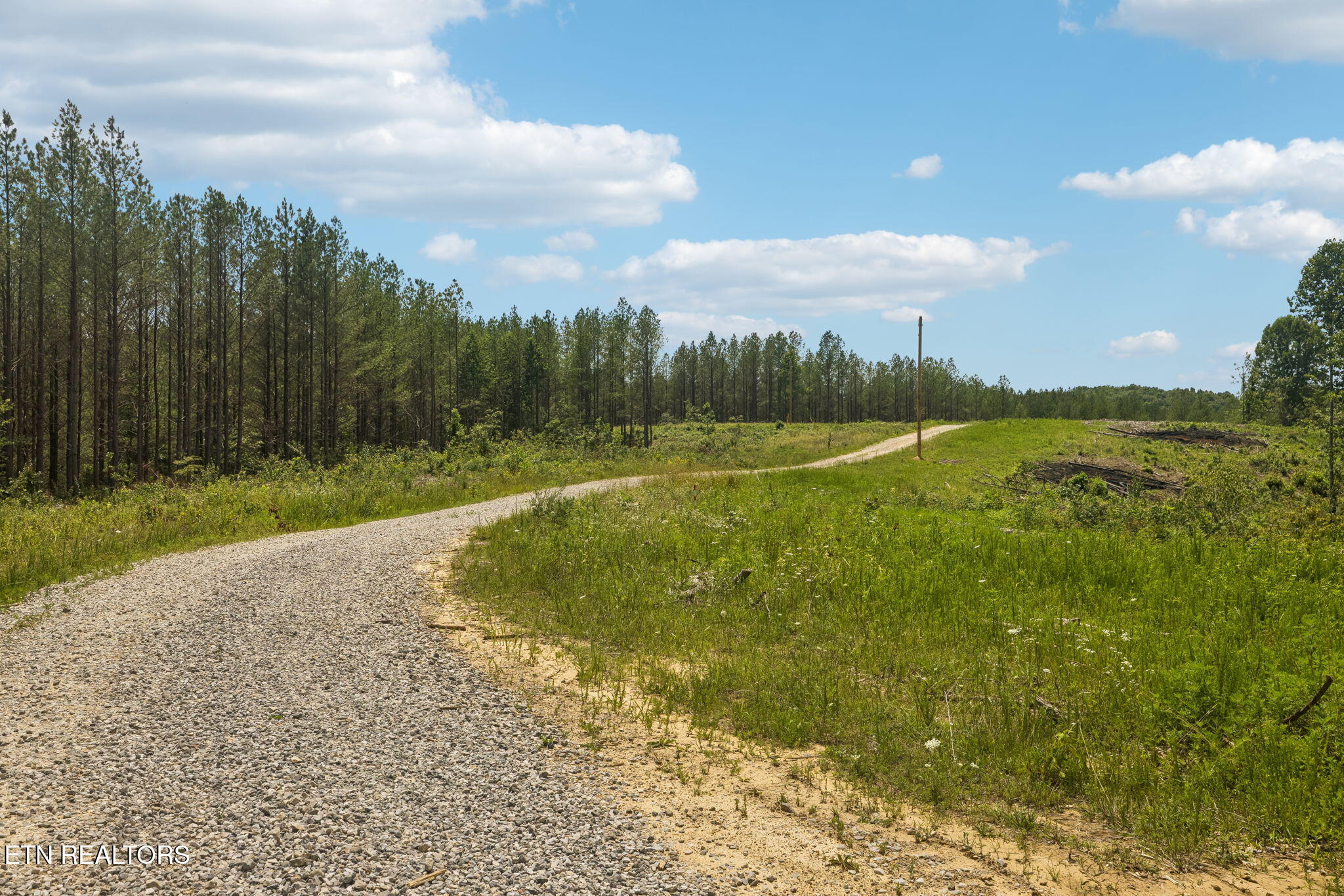 Nydeck Road Robbins, TN 37852 - Photo 23 of 45 3-1859 Nydeck Trail - Lot 2 - 003