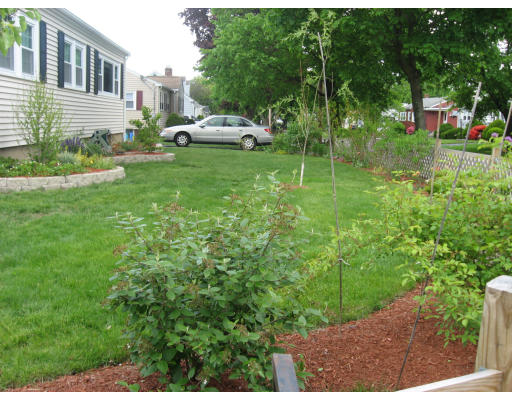 2 Wellesley Road Arlington, MA 02474 - Photo 19 of 22 Gallery Image 19