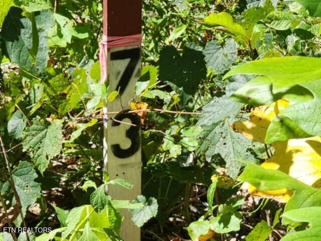 14.34-ac Tomahawk Road Jamestown, TN 38556 - Photo 19 of 42 20250826_105507