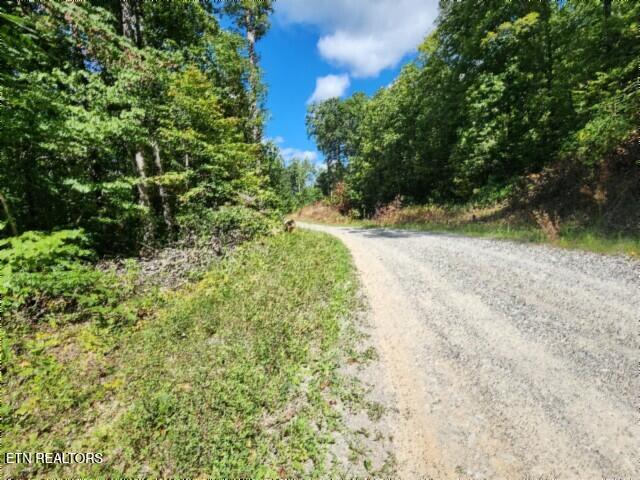 14.34-ac Tomahawk Road Jamestown, TN 38556 - Photo 21 of 42 20250826_105526