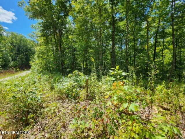 14.34-ac Tomahawk Road Jamestown, TN 38556 - Photo 27 of 42 20250826_110235