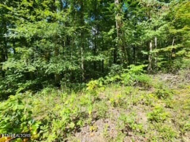 14.34-ac Tomahawk Road Jamestown, TN 38556 - Photo 28 of 42 Photo 1