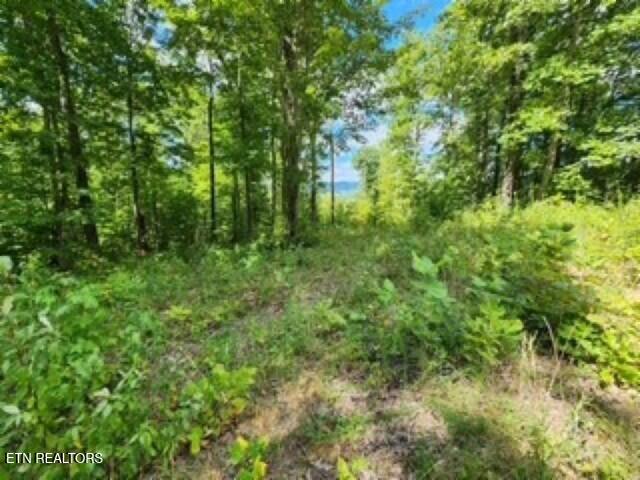 14.34-ac Tomahawk Road Jamestown, TN 38556 - Photo 30 of 42 photo 5