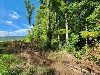 14.34-ac Tomahawk Road Jamestown, TN 38556 - Photo 3 of 42 Photo 3