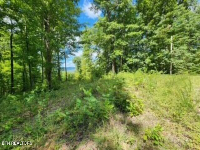 14.34-ac Tomahawk Road Jamestown, TN 38556 - Photo 31 of 42 photo 6