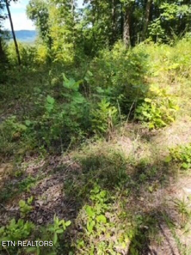 14.34-ac Tomahawk Road Jamestown, TN 38556 - Photo 33 of 42 photo 8