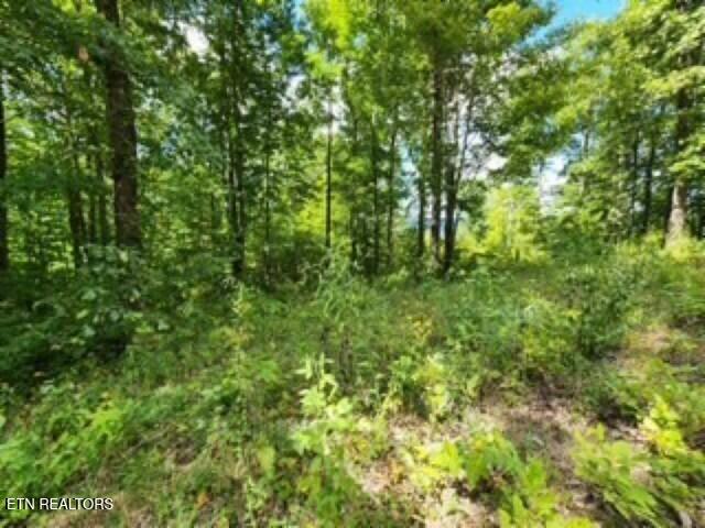 14.34-ac Tomahawk Road Jamestown, TN 38556 - Photo 34 of 42 Photo 11