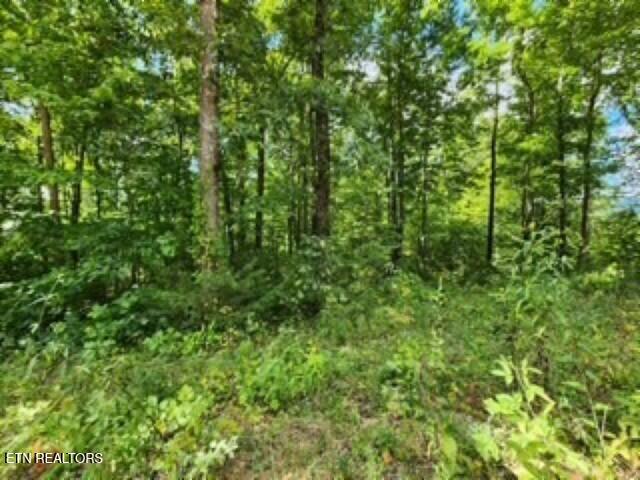 14.34-ac Tomahawk Road Jamestown, TN 38556 - Photo 35 of 42 Photo 12