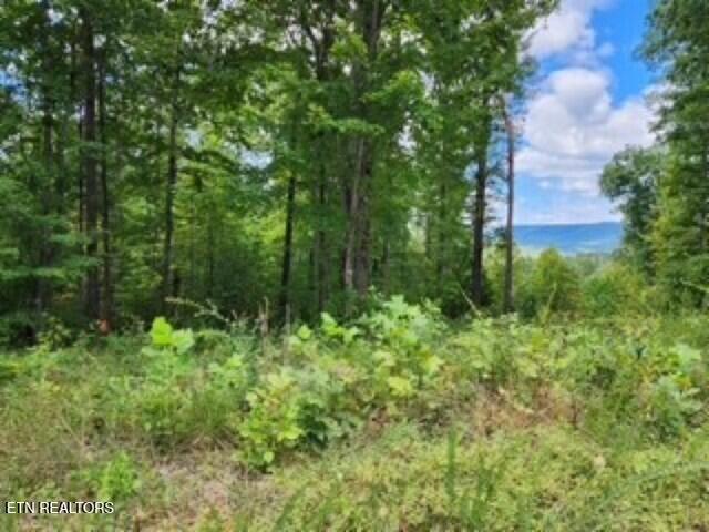 14.34-ac Tomahawk Road Jamestown, TN 38556 - Photo 38 of 42 Photo 16