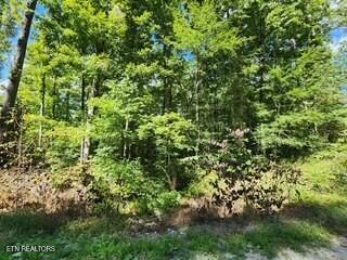 14.34-ac Tomahawk Road Jamestown, TN 38556 - Photo 6 of 42 Photo 8