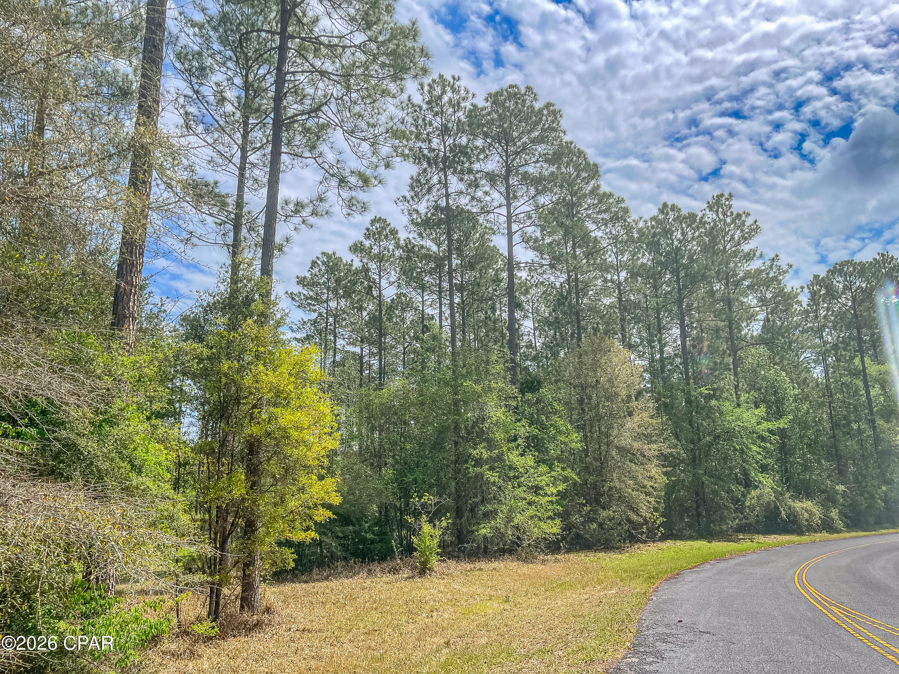 4 Cypress Crossing Road Vernon, FL 32462 - Photo 8 of 15
