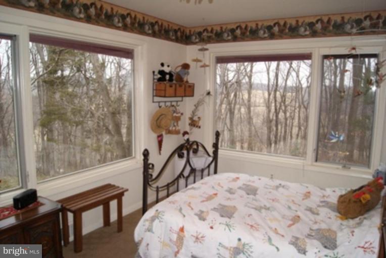 206 Richmond Road Castleton, VA 22716 - Photo 12 of 28 Bedroom #2