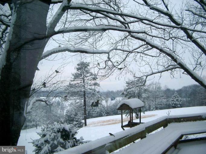 206 Richmond Road Castleton, VA 22716 - Photo 16 of 28 Deck - View from