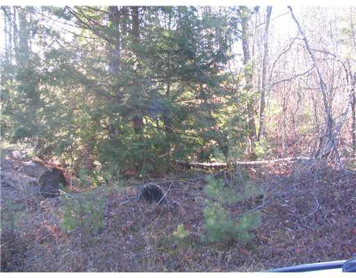 0 Route 107 Sebago Me 04029 Sebago, ME 04029 - Photo 4 of 8 Land/Lot.