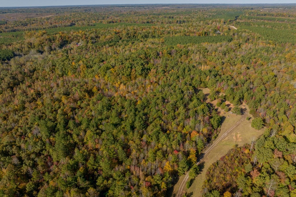 Crymes Road, Unit 13A Keysville, VA 23947 - Photo 21 of 39 Gallery Image 21