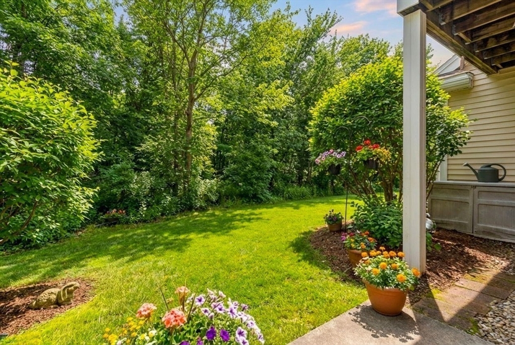 237 Salem Street, Unit 2 Reading, MA 01867 - Photo 2 of 34 a view of a garden with potted plants