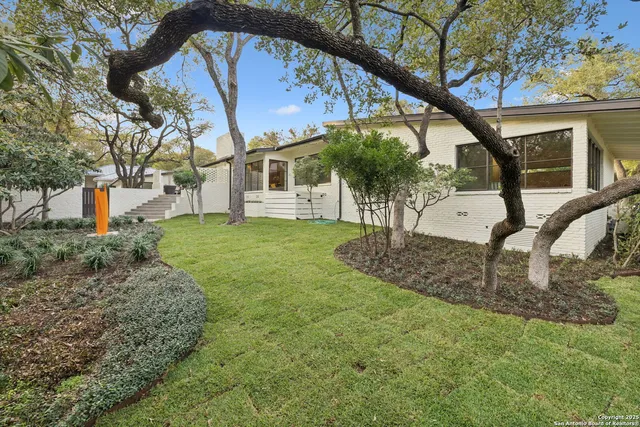 a outdoor space with lots of trees