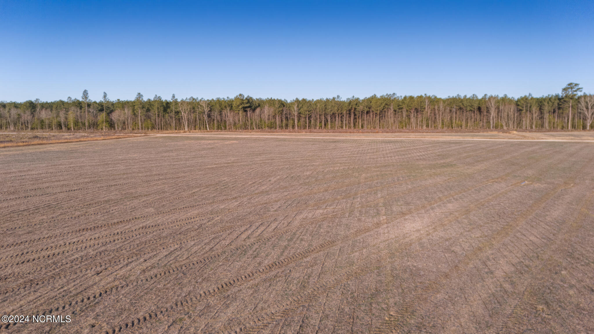 0 Smith Road Gates, NC 27937 - Photo 14 of 22 69 Acres Smith Rd-29