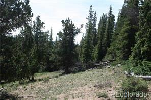 787 Co Road Alma, CO 80420 - Photo 13 of 30 Gallery Image 13