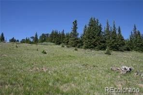 787 Co Road Alma, CO 80420 - Photo 15 of 30 Gallery Image 15