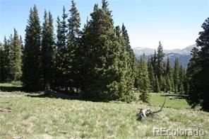 787 Co Road Alma, CO 80420 - Photo 16 of 30 Gallery Image 16
