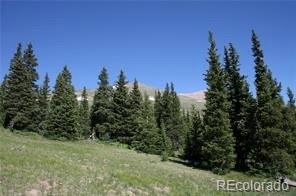 787 Co Road Alma, CO 80420 - Photo 17 of 30 Gallery Image 17