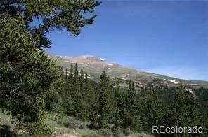 787 Co Road Alma, CO 80420 - Photo 2 of 30 Gallery Image 2
