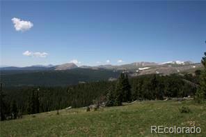 787 Co Road Alma, CO 80420 - Photo 3 of 30 Gallery Image 3
