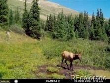 787 Co Road Alma, CO 80420 - Photo 6 of 30 Gallery Image 6