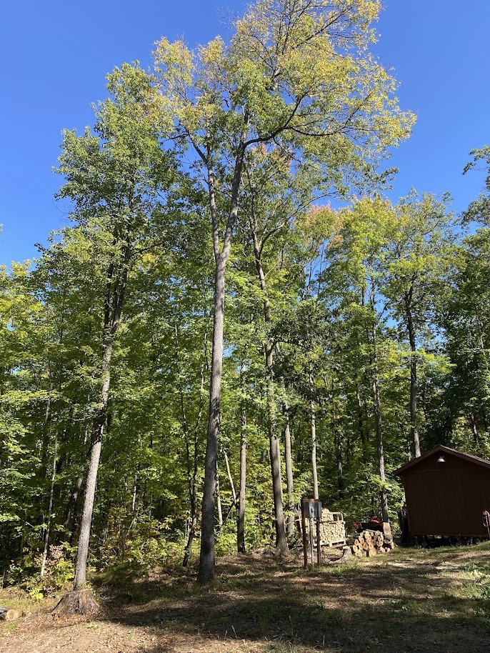 15846 Pank Road Stone Lake, WI 54876 - Photo 11 of 17