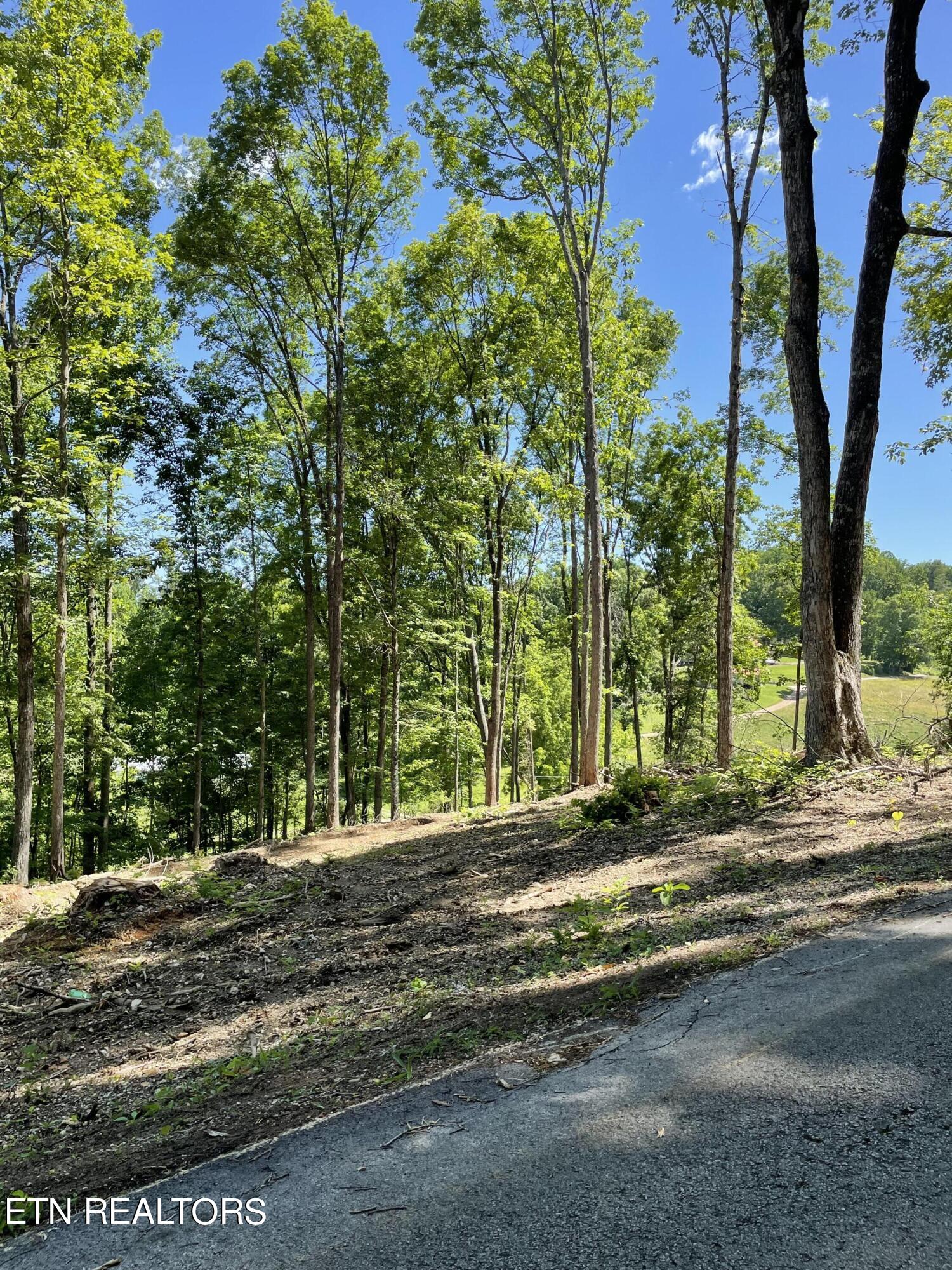 Ridge Road Tazewell, TN 37879 - Photo 2 of 6 IMG_4174