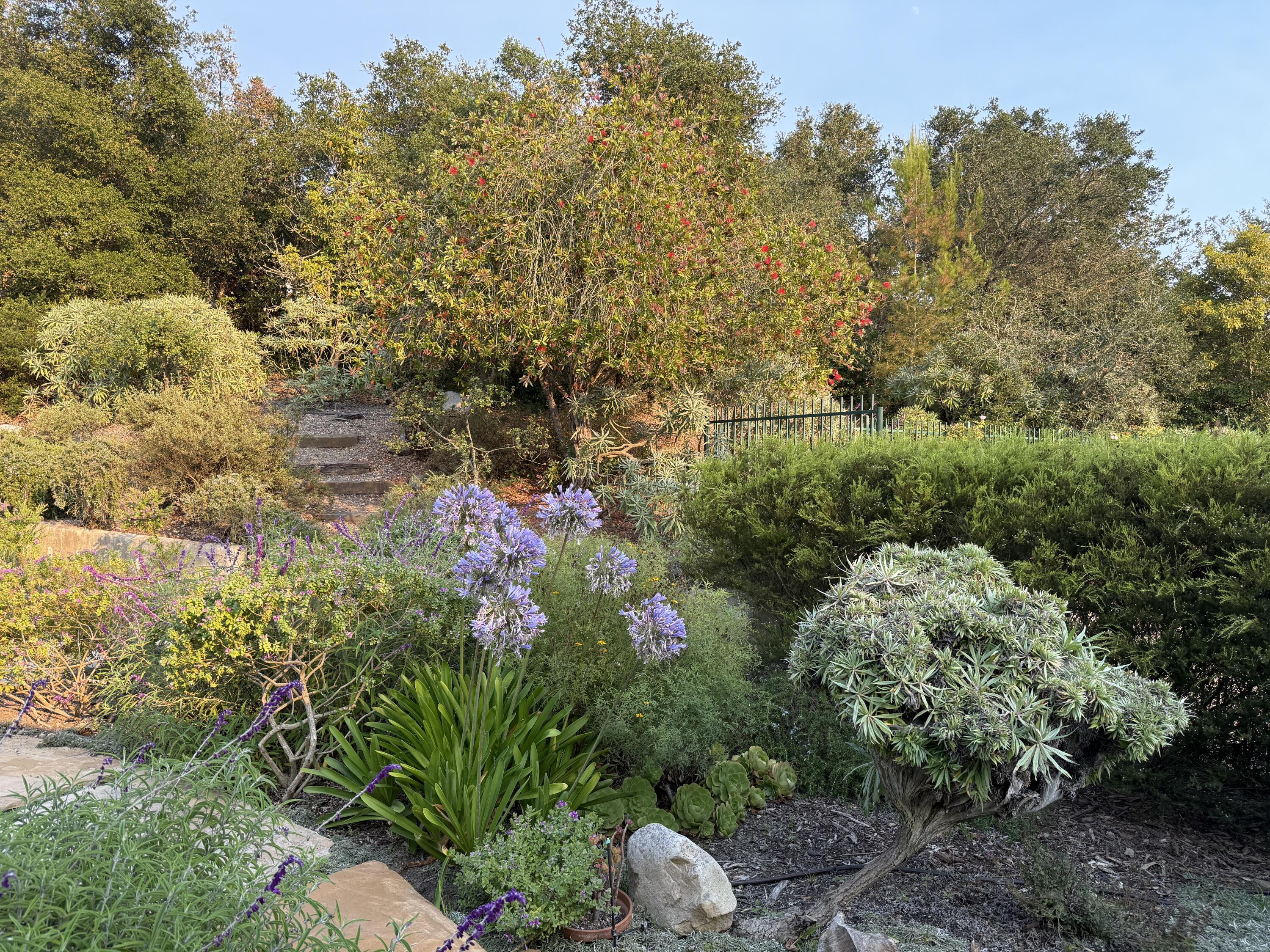 520 Barker Pass Road Santa Barbara, CA 93108 - Photo 31 of 56 Backyard looks like Monet painting