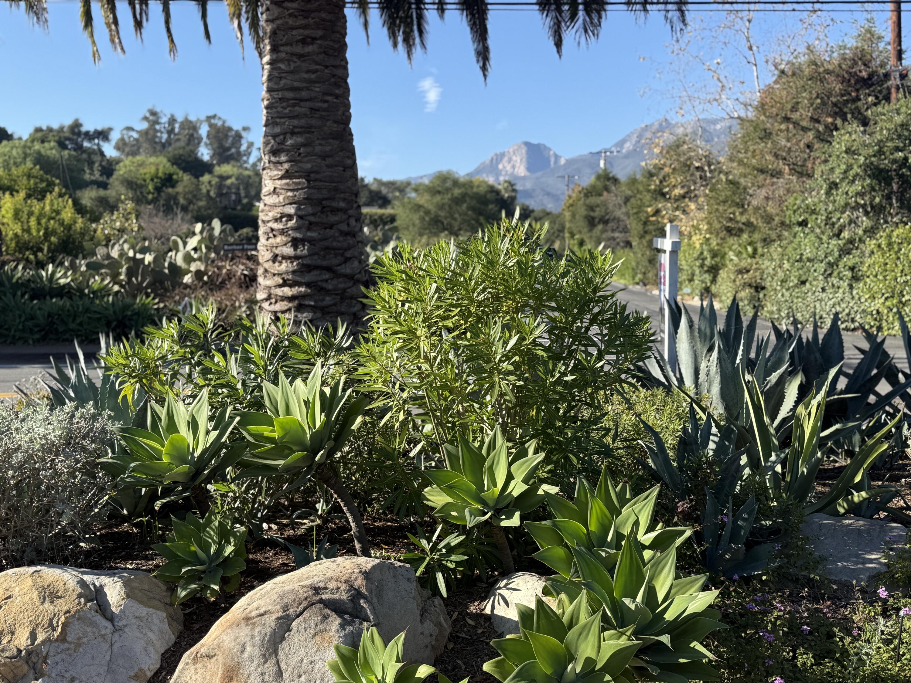 520 Barker Pass Road Santa Barbara, CA 93108 - Photo 44 of 56 IMG_0137