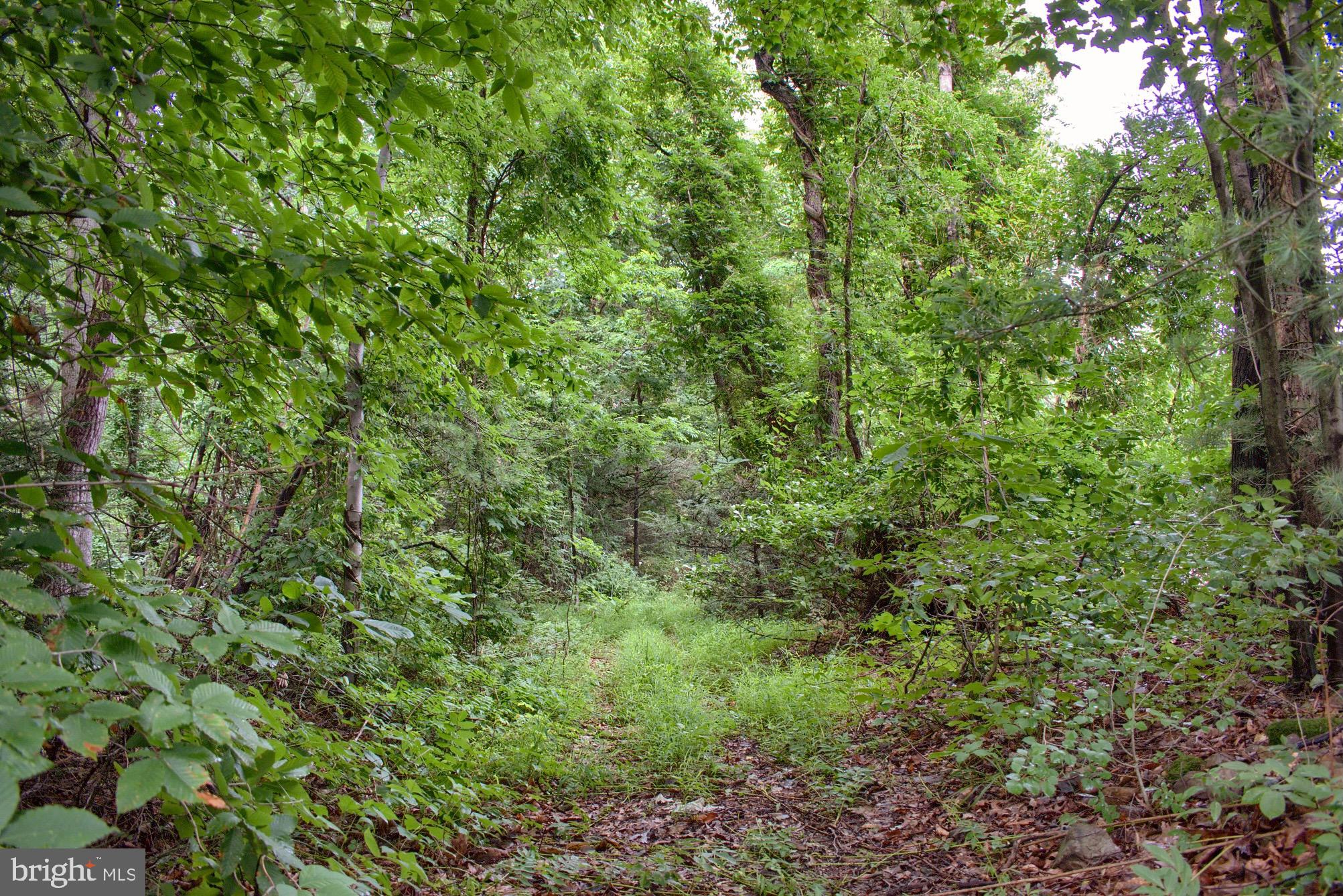 235 Beavertown Pa Beavertown, PA 17813 - Photo 4 of 5